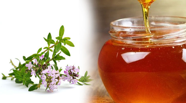 Honey Avishan Carnica22222